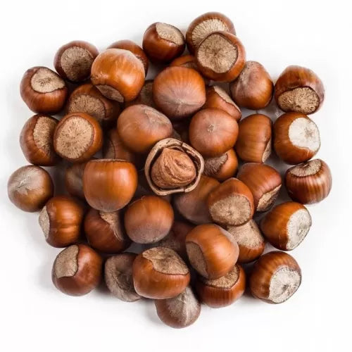 Orzechy Laskowe W Łupinie kg