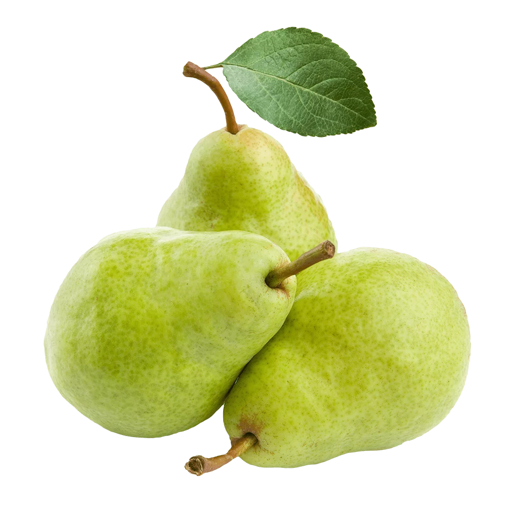 Gruszki konferencja kg