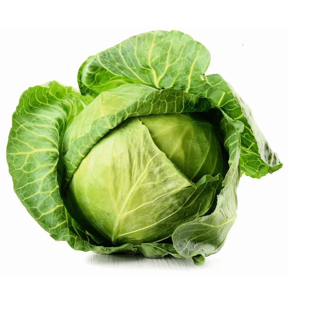 Kapusta młoda szt.