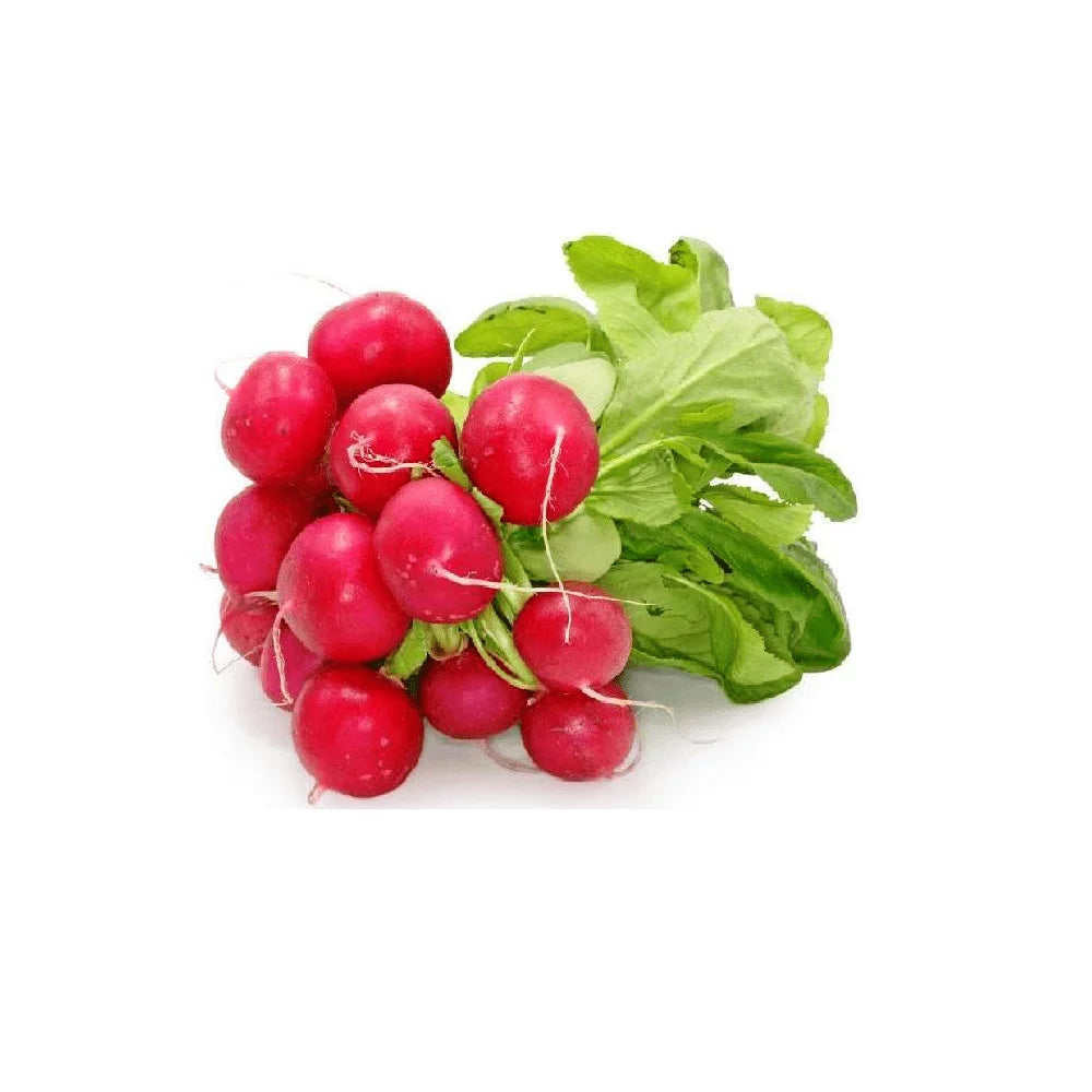 Rzodkiewka pęczek szt.